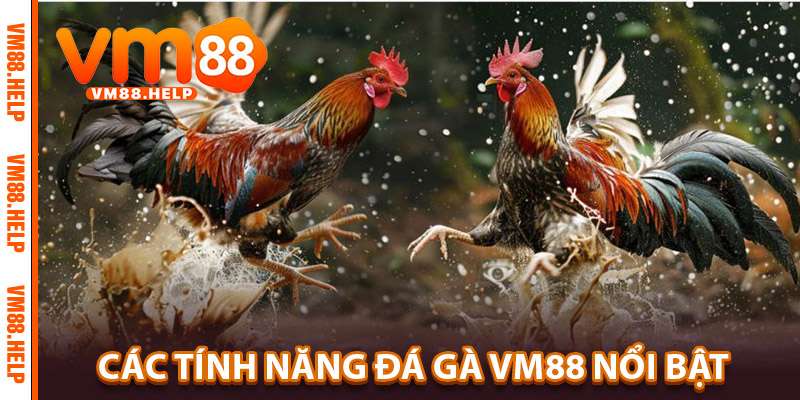 Các Tính Năng Đá Gà VM88 Nổi Bật